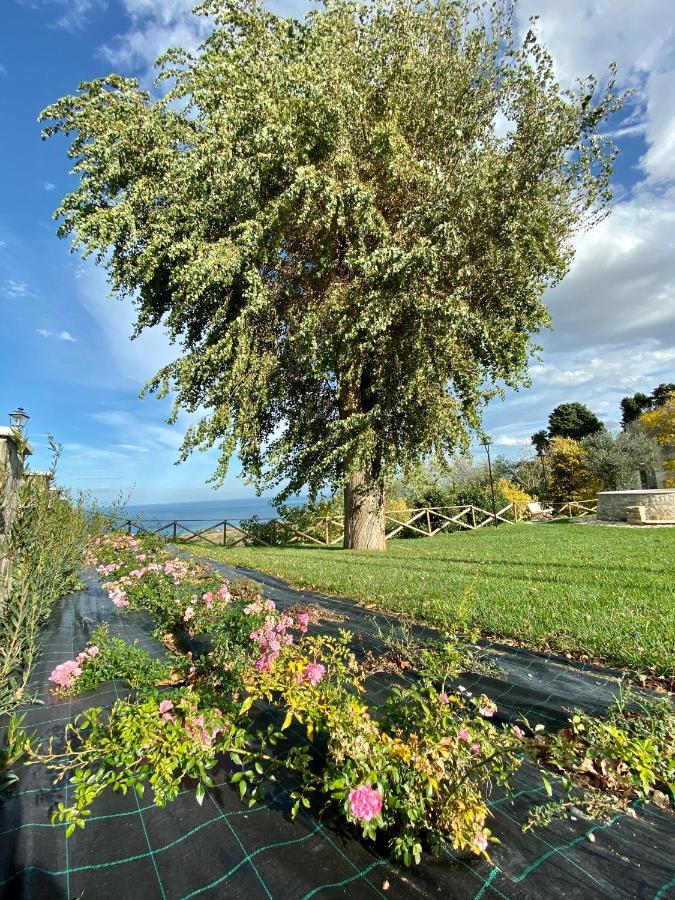 Residenza B&B Vistamare Петачато Екстериор снимка